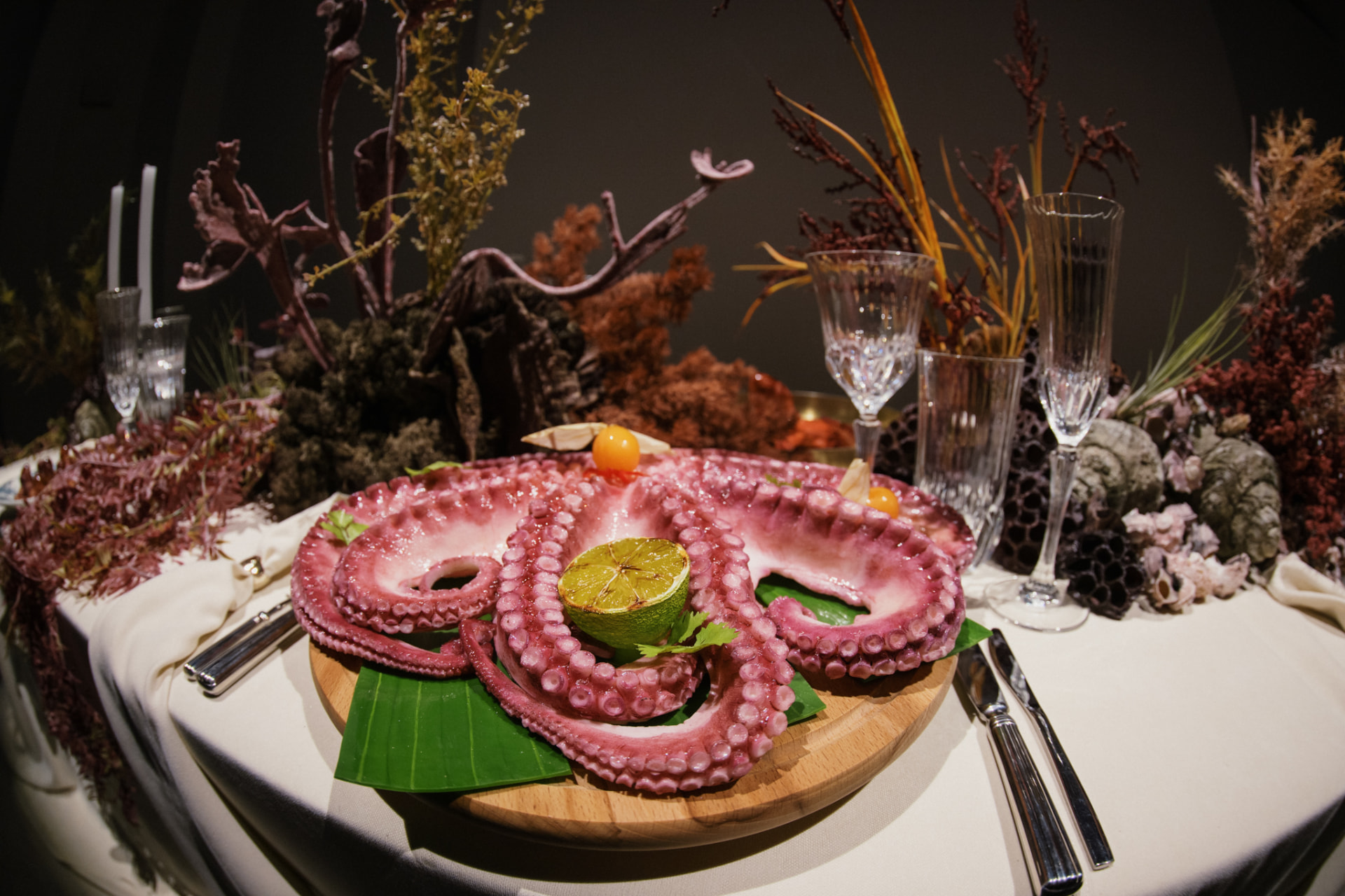 Plated octopus on the banquet table